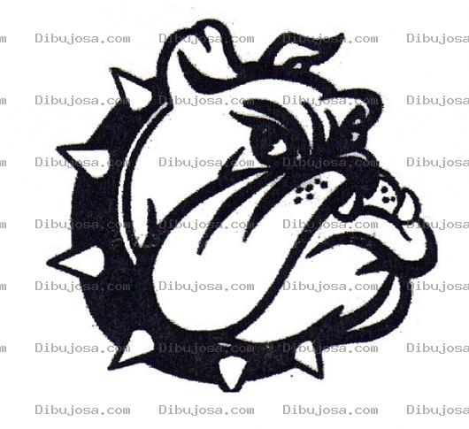 Dibujo para colorear Spike Dibujo De La Cara De Un Perro Bulldog Para Pintar Y Colorear