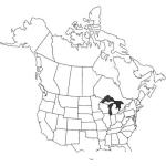 Dibujo para colorear colorear mapa de norte america incluido canada y alaska