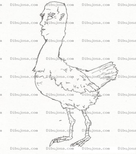 Dibujo para colorear Dibujo De Hombre Gallina Para Pintar Y Colorear Gallina Con Cabeza De Hombre