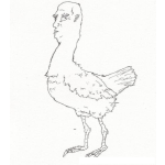 Dibujo para colorear Dibujo De Hombre Gallina Para Pintar Y Colorear Gallina Con Cabeza De Hombre