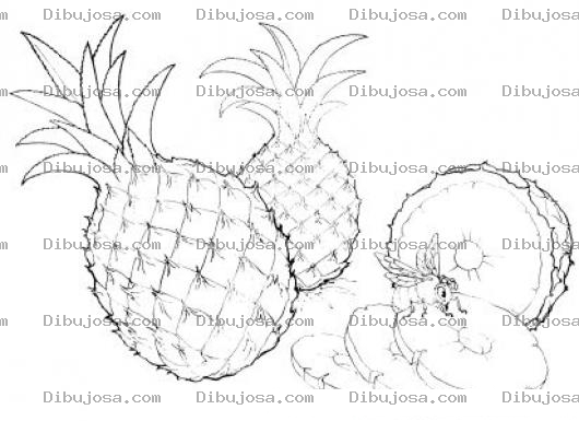 Dibujo para colorear Pina Dulce Dibujo De Pinas Con Rodajas De Pina Para Pintar Y Colorear Pina Rodajeada