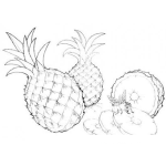 Dibujo para colorear Pina Dulce Dibujo De Pinas Con Rodajas De Pina Para Pintar Y Colorear Pina Rodajeada