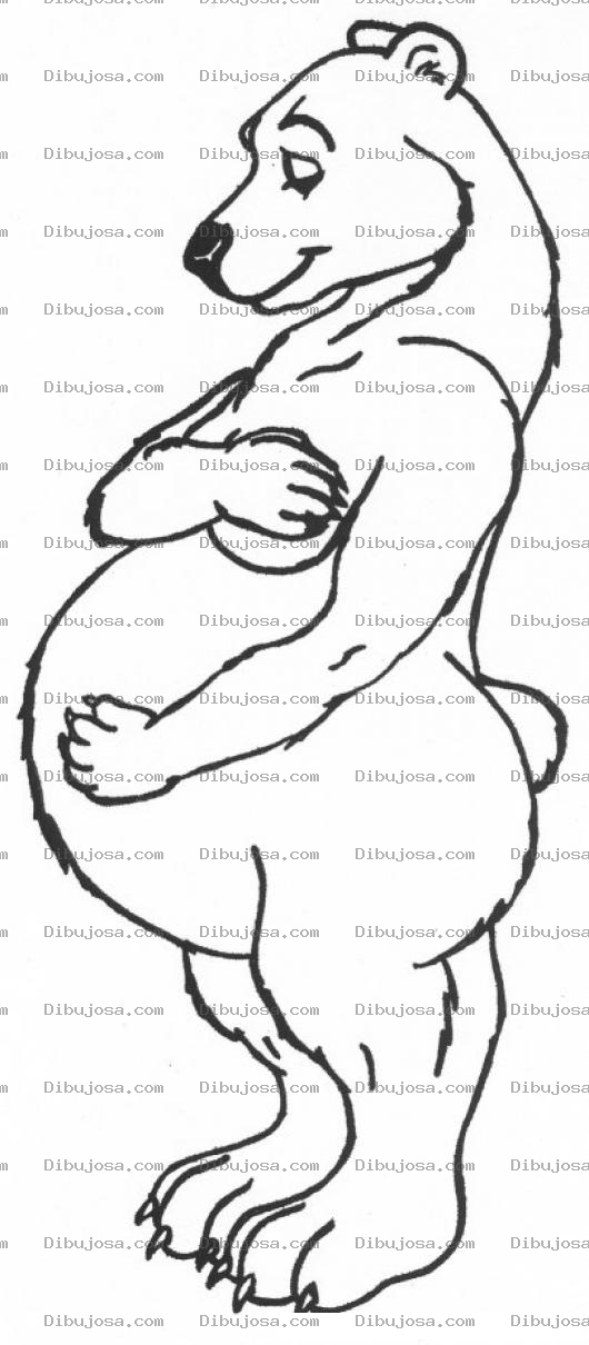 Dibujo para colorear Osa Embarazada Para Pintar Y Colorear