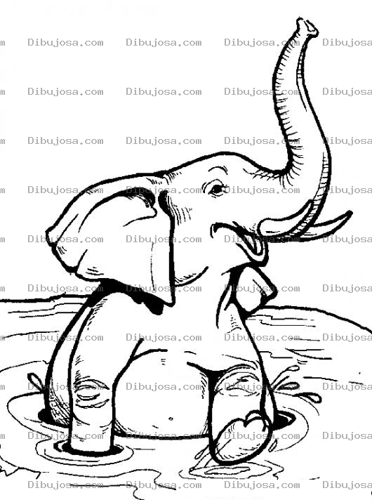 Dibujo para colorear Dibujo De Elefante Jugando Y Chapoteando En El Agua Para Pintar Y Colorear