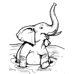 Dibujo para colorear Dibujo De Elefante Jugando Y Chapoteando En El Agua Para Pintar Y Colorear