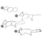 Dibujo para colorear Como Aprender A Dibujar Una Ardilla En 4 Pasos Para Pintar Y Colorear