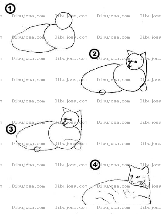 Dibujo para colorear Como Aprender A Dibujar Un Gato En 4 Pasos Para Pintar Y Colorear