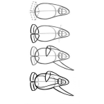 Dibujo para colorear Como Aprender A Dibujar Un Pinguino En 4 Pasos Para Pintar Y Colorear Curso De Dibujo Gratis