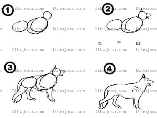 Dibujo para colorear Como Aprender A Dibujar Un Perro Pastor Aleman En 4 Pasos Para Pintar Y Colorear