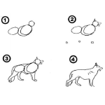 Dibujo para colorear Como Aprender A Dibujar Un Perro Pastor Aleman En 4 Pasos Para Pintar Y Colorear