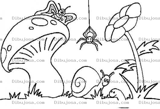 Dibujo para colorear Dibujo De Animalitos E Insectos Silvestres Para Pintar Y Colorear Mariposa Arana Caracol Y Gusano Con Un Hongo Y Una Flor