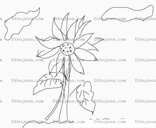 Dibujo para colorear Girasol Nombre Cientifico Es Helianthus Annuus Dibujo De Un Girasolito Para Pintar Y Colorear