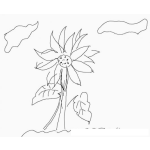 Dibujo para colorear Girasol Nombre Cientifico Es Helianthus Annuus Dibujo De Un Girasolito Para Pintar Y Colorear