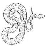 Dibujo para colorear Dibujo De Culebra Para Pintar Y Colorear Una Boa Venenosa