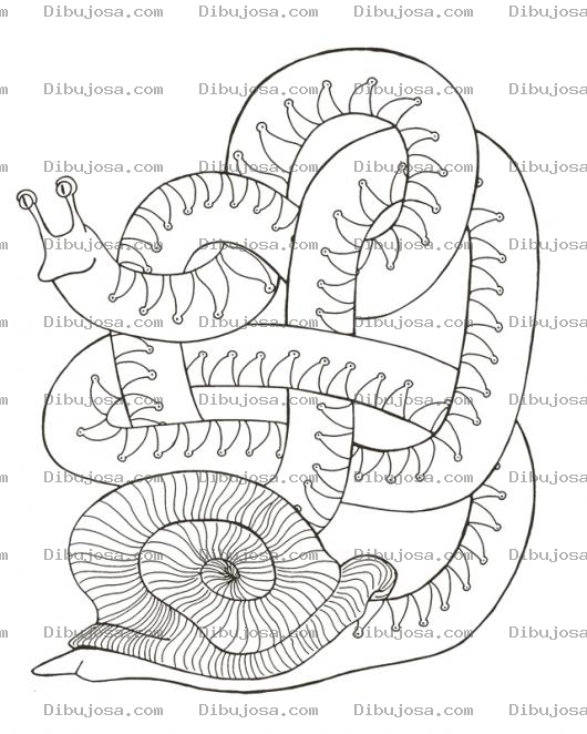 Dibujo para colorear Caracol Con Cuello De Serpiente Para Pintar Y Colorear
