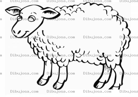 Dibujo para colorear Dibujo De Ovejita Feliz Para Pintar Y Colorear Oveja Lanuda