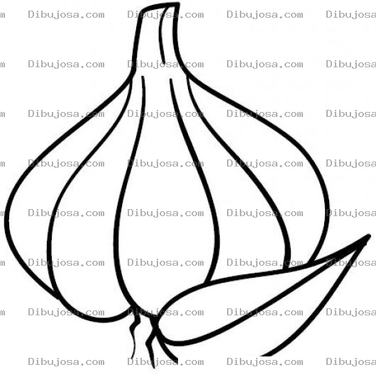 Dibujo para colorear Dibujo De Cabeza De Ajo Para Pintar Y Colorear Un Diente De Ajo