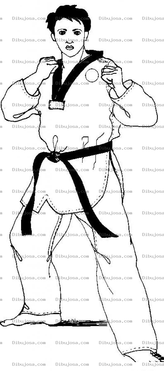 Dibujo para colorear Karateca En Guardia Para Pintar Y Colorear Chico Cinta Negra