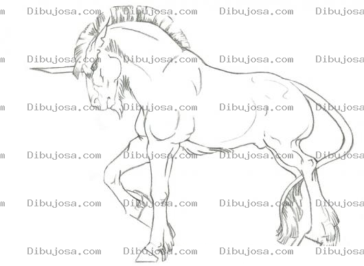 Dibujo para colorear Unicornio Macho Para Colorear