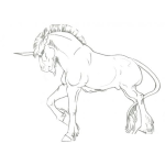 Dibujo para colorear Unicornio Macho Para Colorear