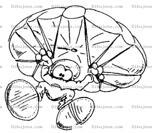Dibujo para colorear Dibujo De Paracaidista Para Pintar Y Colorear