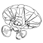 Dibujo para colorear Dibujo De Paracaidista Para Pintar Y Colorear
