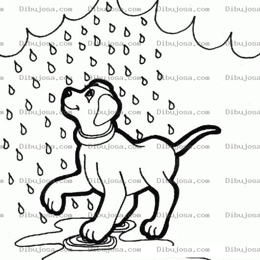 Dibujo para colorear Perro Bajo La Lluvia Para Pintar Y Colorear