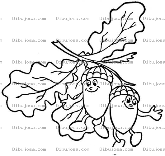 Dibujo para colorear Dibujo De Bellotas Colgando En Un Arbol Para Pintar Y Colorear