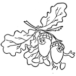 Dibujo para colorear Dibujo De Bellotas Colgando En Un Arbol Para Pintar Y Colorear
