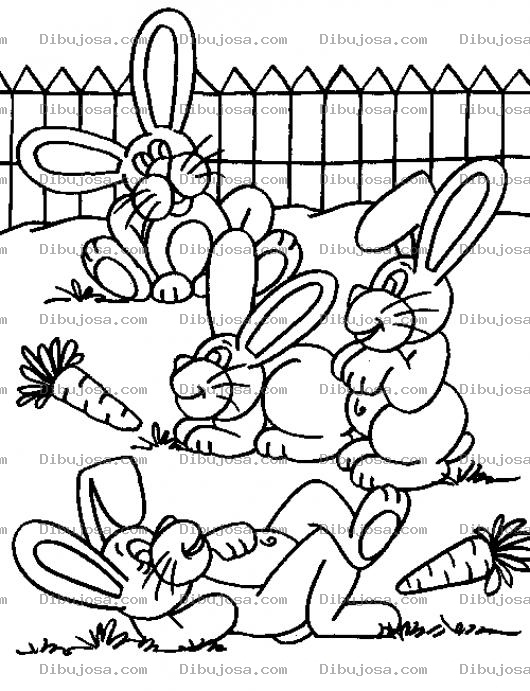 Dibujo para colorear Dibujo De 4 Conejitos En El Jardin Para Pintar Y Colorear