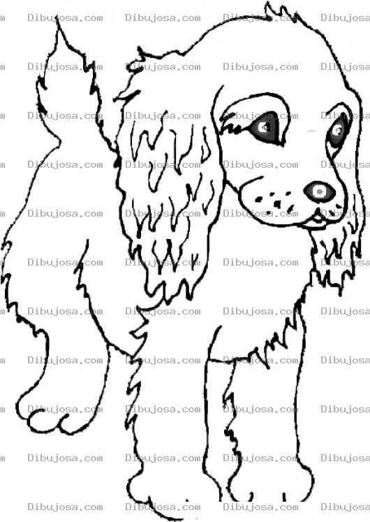 Dibujo para colorear Dibujo De Perrito Coker Para Pintar Y Colorear