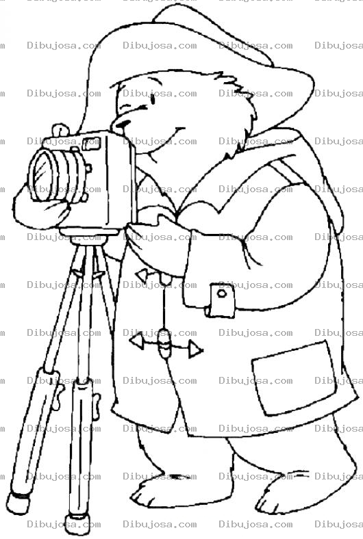 Dibujo para colorear Dibujo De Osito Fotografo Para Pintar Y Colorear Al Oso Padington Con Su Camara De Fotos En Un Tripode