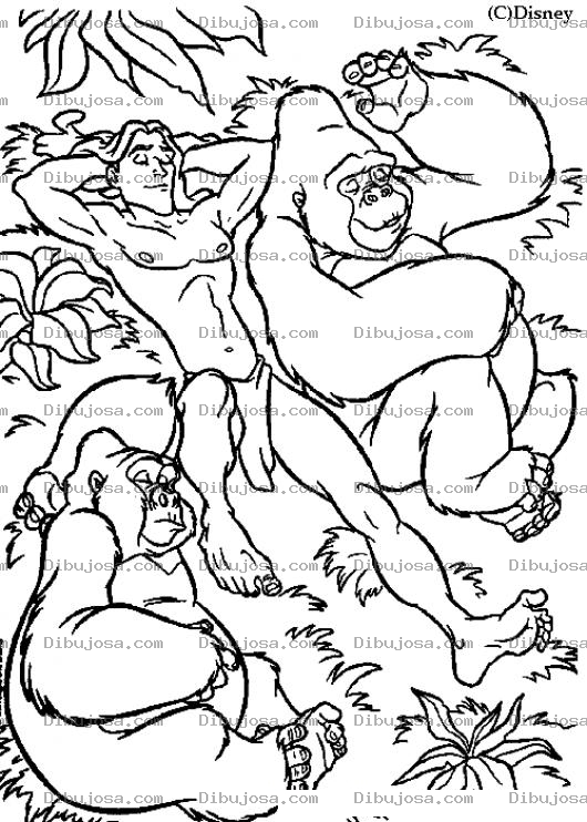 Dibujo para colorear Dibujo De Tarzan Con Los Simios Para Pintar Y Colorear