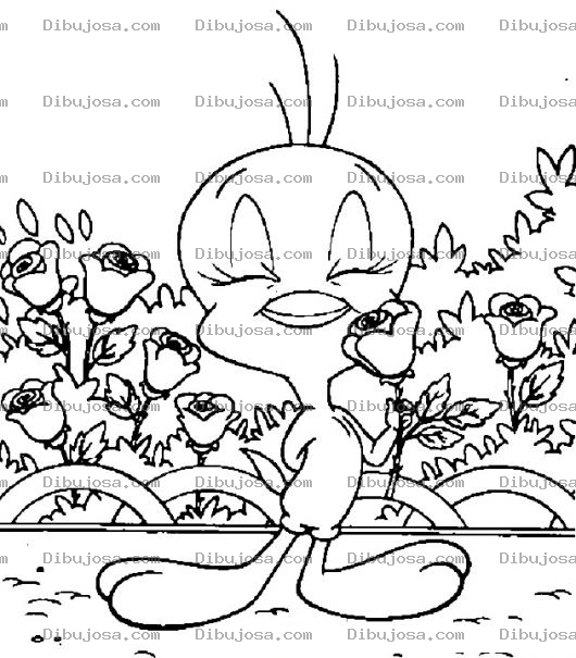 Dibujo para colorear dibujos para colorear de piolin
