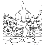 Dibujo para colorear dibujos para colorear de piolin