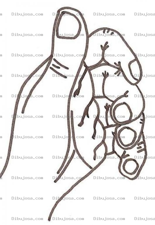 Dibujo para colorear Dibujo De Mano Semiempunada Para Pintar Y Colorear Mano Izquierda