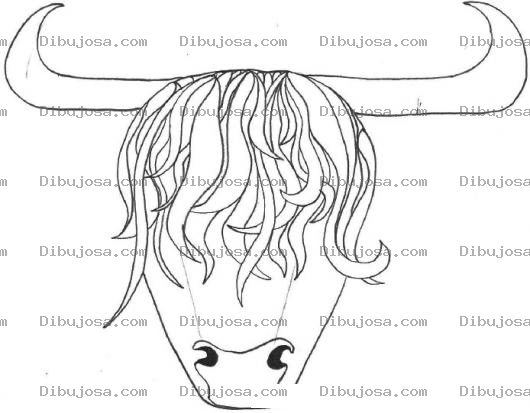 Dibujo para colorear Dibujo De Toro Emo Para Pintar Y Colorear