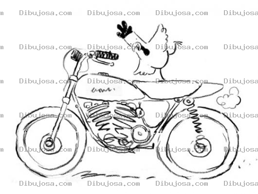 Dibujo para colorear Dibujo De Pollo Acrobata En Moto Para Pintar Y Colorear
