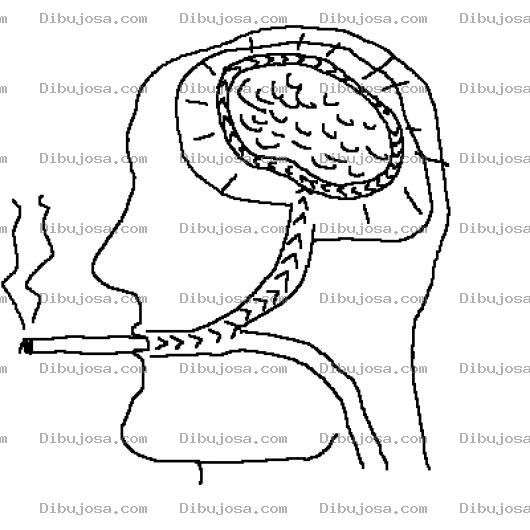 Dibujo para colorear Radiografia Del Fumador Para Pintar Y Colorear