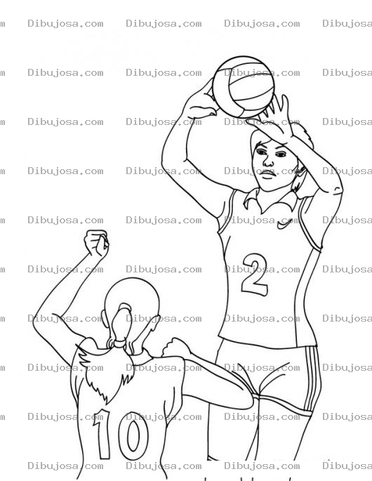 Dibujo para colorear Dibujo De Mujeres Jugando Voleybol Para Pintar Y Colorear Chicas Practicando Volley Ball Volibol