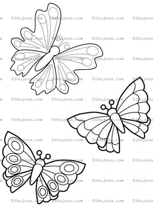 Dibujo para colorear Dibujo De 3 Mariposas Para Pintar Y Colorear Tresmariposas