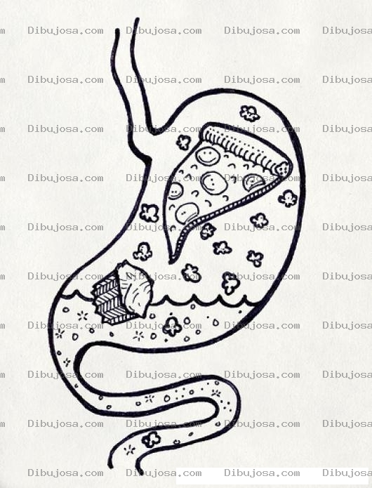 Dibujo para colorear Dibujo De Estomago Con Comida Chatarra Para Pintar Y Colorear Pizza Poporopos Cublite Y Gaseosa En El Estomago