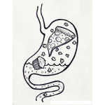Dibujo para colorear Dibujo De Estomago Con Comida Chatarra Para Pintar Y Colorear Pizza Poporopos Cublite Y Gaseosa En El Estomago