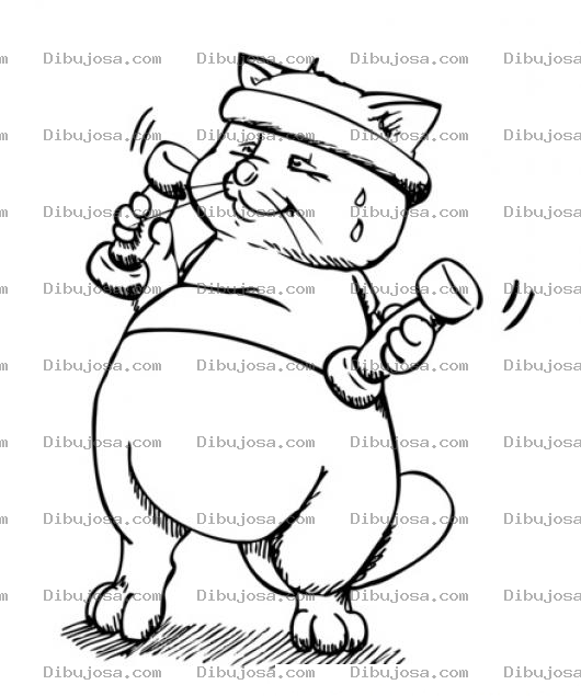 Dibujo para colorear Dibujo De Gato Gordo Haciendo Ejercicios Para Pintar Y Colorear