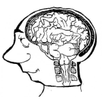 Dibujo para colorear Dibujo Del Cerebro Del Hombre Para Pintar Y Colorear