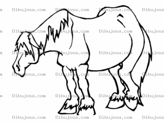 Dibujo para colorear Dibujo De Caballo Viejo Cansado Y Triste Para Pintar Y Colorear