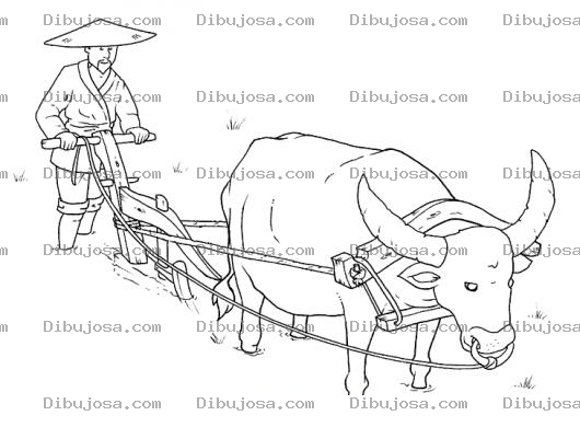 Dibujo para colorear Dibujo De Chino Arando Con Un Buey Para Pintar Y Colorear