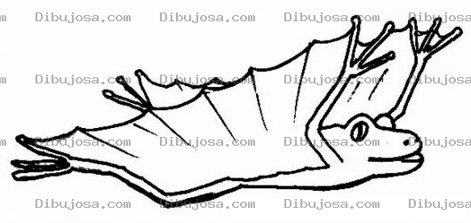 Dibujo para colorear Ranavoladora Dibujo De Rana Voladora Para Pintar Y Colorear A Una Ranita Con Alas De Murcielado
