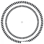 Dibujo para colorear Ilusion Optica De Circulos En Movimiento Para Verla Mira Fijamente La Cruz Y Acerca Y Aleja Tu Cara