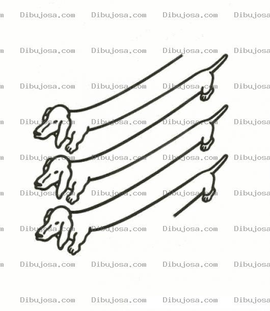 Dibujo para colorear Ilusion Optica De Perros Salchicas Para Pintar Y Colorear
